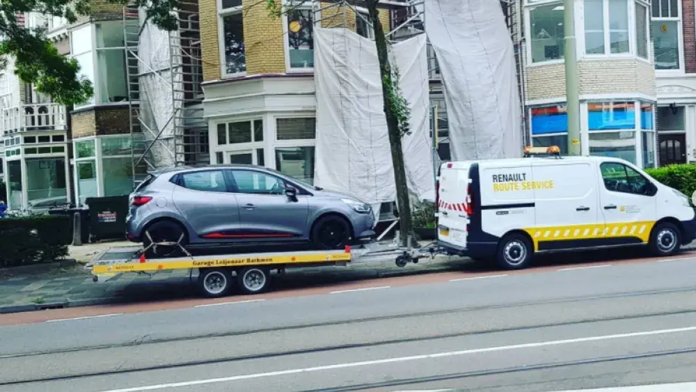 zoekopdracht