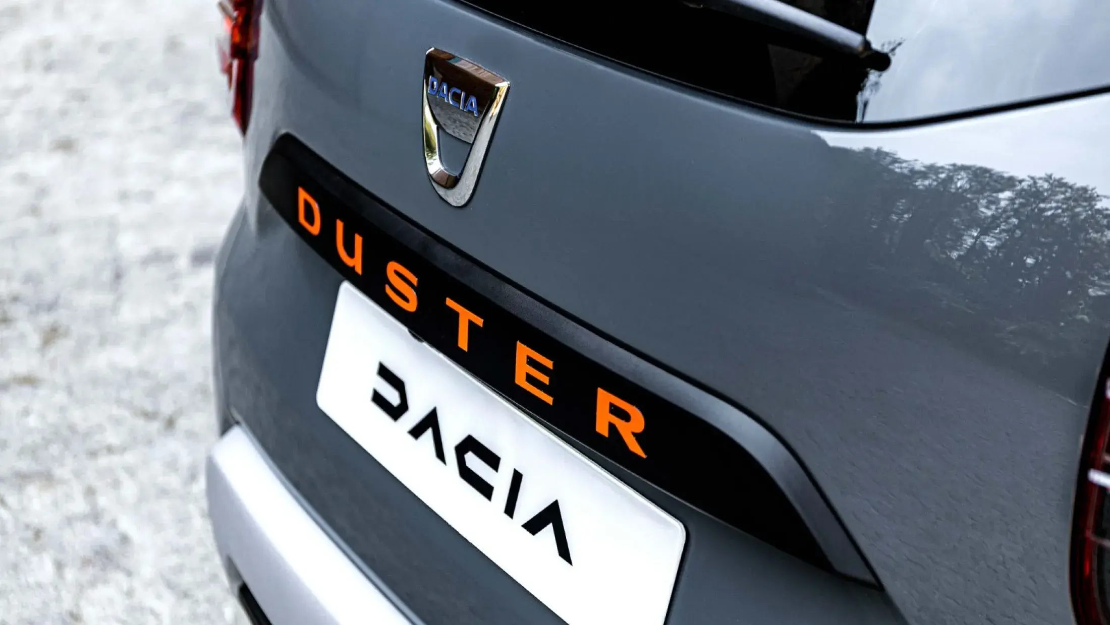 Duster1
